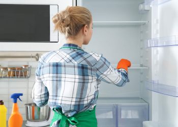 سوالات رایج در تمیز کردن یخچال