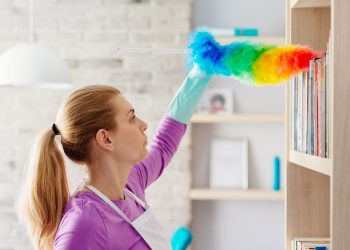 چگونه از شر گرد و غبار در خانه خلاص شویم؟