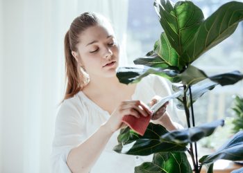 6 گیاه بزرگ که با محیط خانه سازگاری دارد