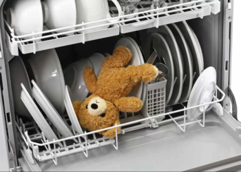 چیزهایی که نمی‌دانستید می‌توانید با ماشین ظرفشویی تمیز کنید.