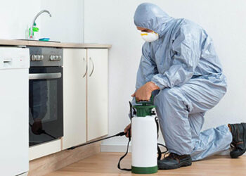 سم‌پاشی خانه و خطر آفت‌کش‌ها